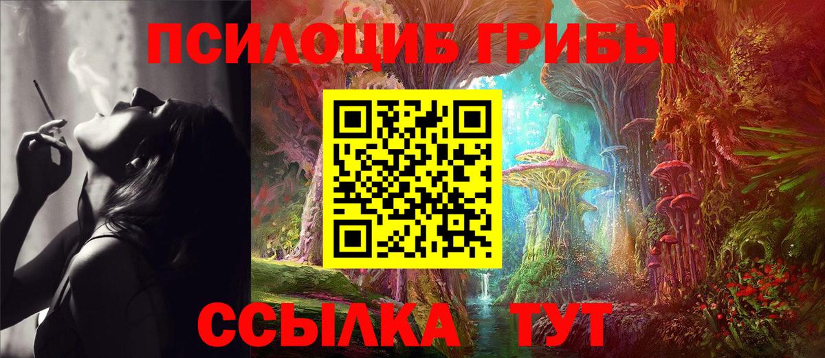 Искитим  Галлюциногенные грибы прущие грибы  Вход с VPN  Псилоцибиновые грибы Magic Shrooms 